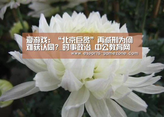 爱游戏：“北京巨贪”再减刑为何难获认同?_时事政治_中公教育