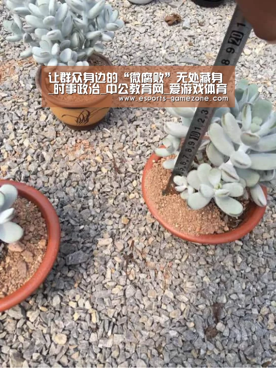让群众身边的“微腐败”无处藏身_时事政治_中公教育网_爱游戏体育app(图3) 爱游戏平台