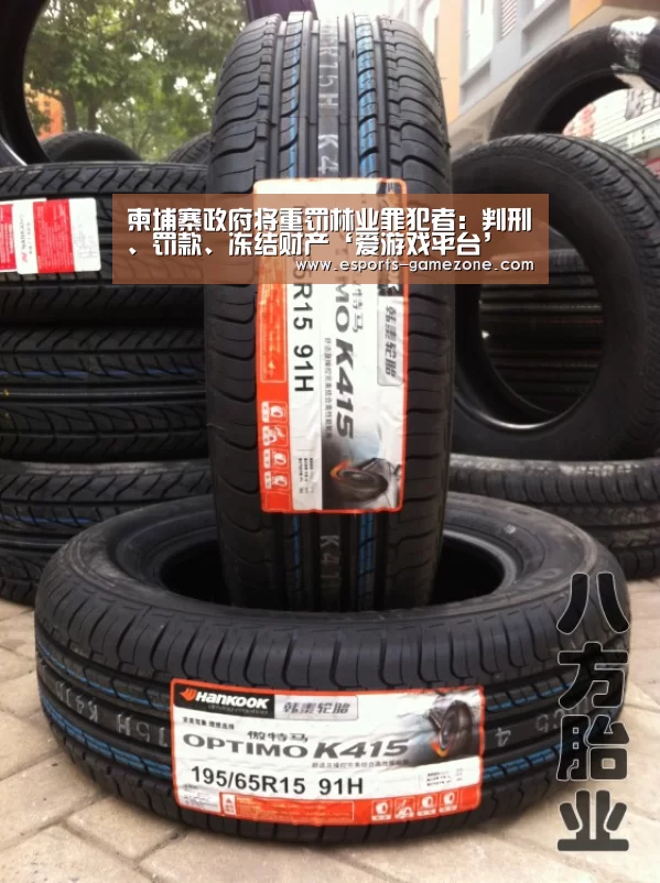 爱游戏直播