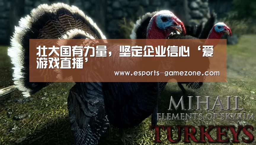 爱游戏直播